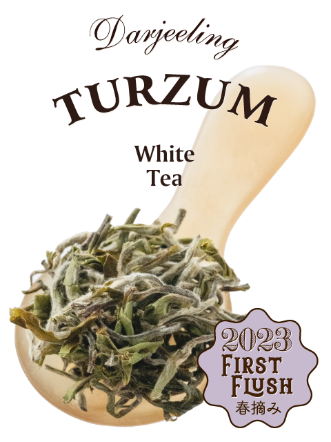 2_1007-_EX-3.png?v=1748761464 2_1007-_EX-3.png?v=1748761464