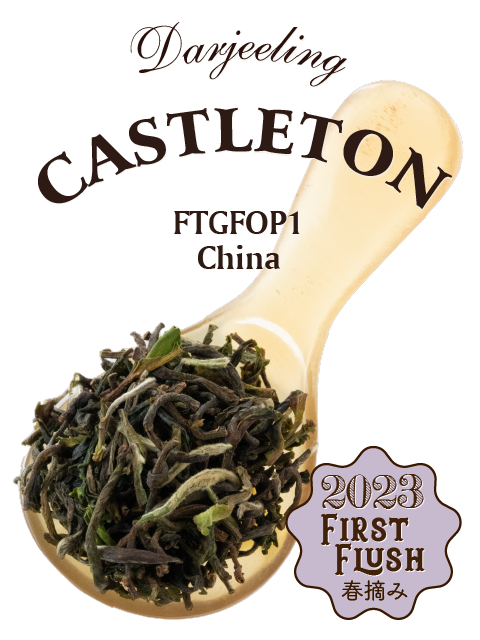 DARJEELING TEA (FRESH FIRST FLUSH 2025) JUNGPANA SFTGFOP I DELIGHT 500 DARJEELING TEA (FRESH FIRST FLUSH 2025) JUNGPANA SFTGFOP I DELIGHT 500