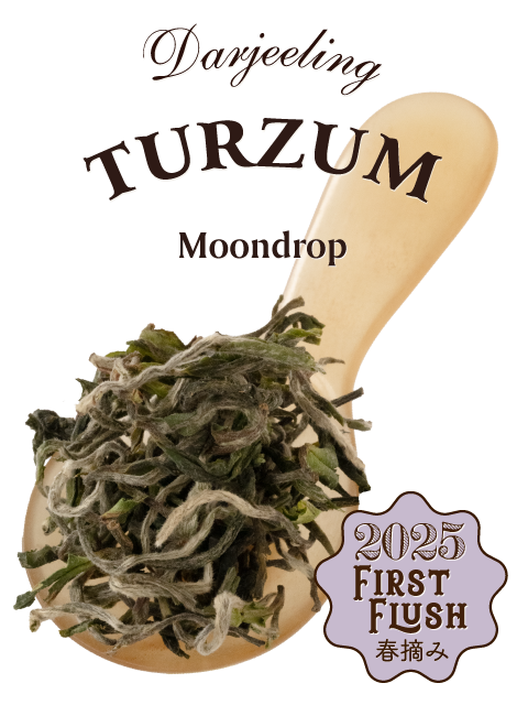 ポスター フランス 紅茶 企業 ポスター フランス 紅茶 企業 ポスター フランス 紅茶 企業 ポスター フランス 紅茶 企業