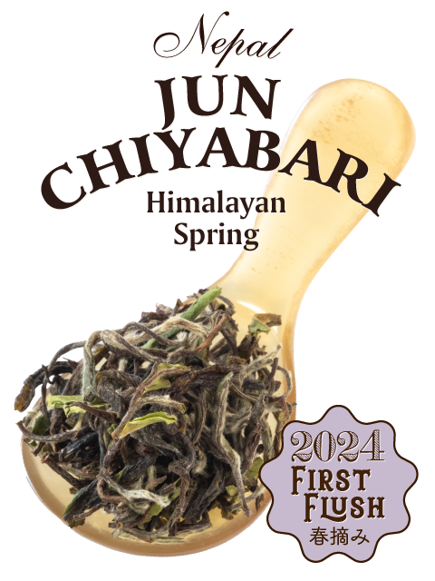 2_1857_J35.png?v=1749268804