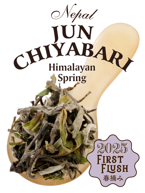 ネパール ダンクタ 2025年 ファーストフラッシュ ジュンチャバリ