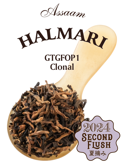 2024フォートナム&メイソン   アッサムセカンドフラッシュ&クリスマスTEA アッサムTGFOP 125g