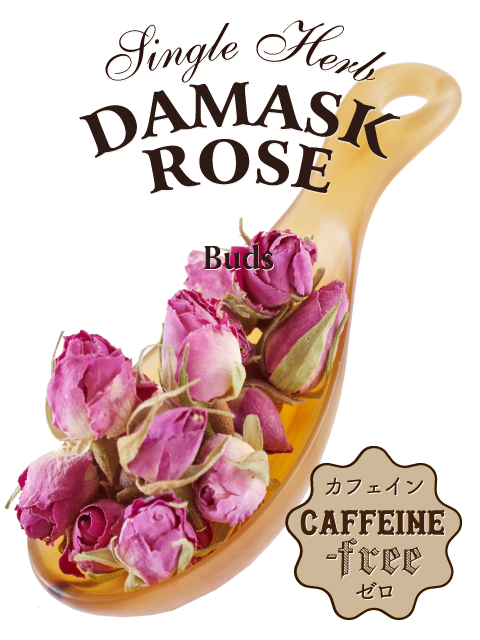 ダマスクローズ|紅茶専門店TEAPOND ティーポンド ダマスクローズ|紅茶専門店TEAPOND ティーポンド