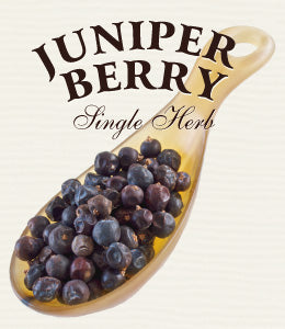 ジュニパーベリー｜紅茶専門店TEAPOND ティーポンド