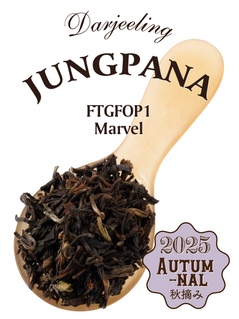 ダージリン｜紅茶専門店TEAPOND ティーポンド