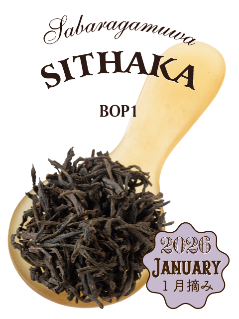サバラガムワ 2026年 シタカ茶園 BOP1｜紅茶専門店TEAPOND ティーポンド