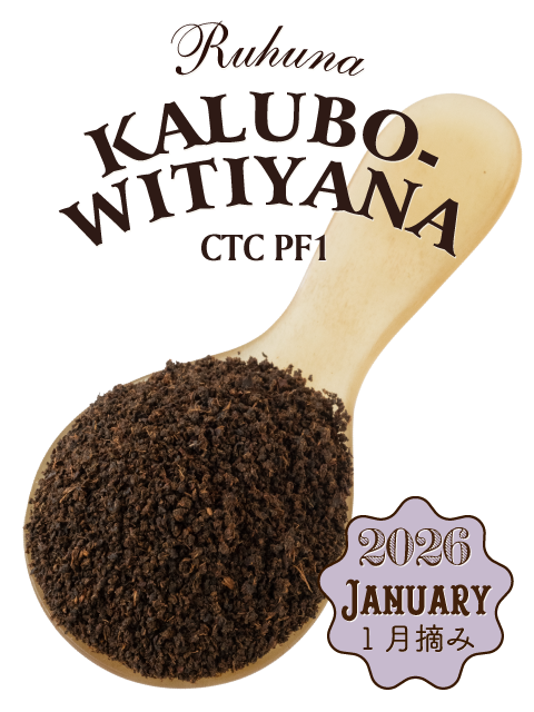 ルフナ 2026年 カルボウィティヤーナ茶園 CTC PF1｜紅茶専門店TEAPOND