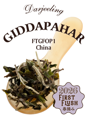 2026年ファーストフラッシュ – 紅茶専門店TEAPOND