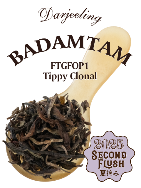 ダージリン 2025年 セカンドフラッシュ バダンタム茶園 DJ-69