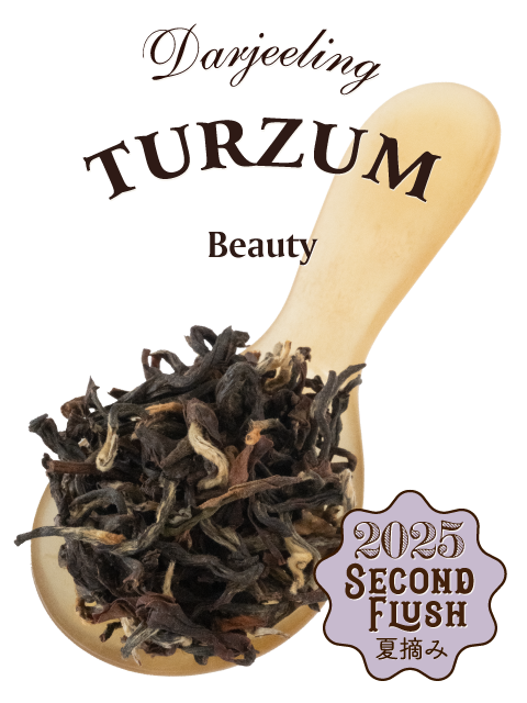 専用出品 begimnner様 焦げ茶4セット 選ぶ】深蒸し茶セット | 4teaSecond4teaSecond