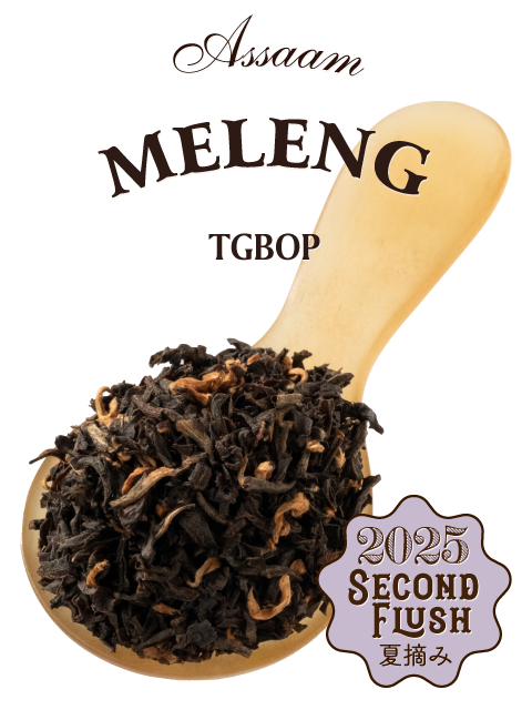 アッサム 2025年 セカンドフラッシュ メレン茶園 OR-487 TGBOP｜紅茶