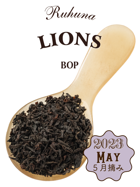 2023年 ルフナ ライオンズ茶園 BOP｜紅茶専門店TEAPOND ティーポンド