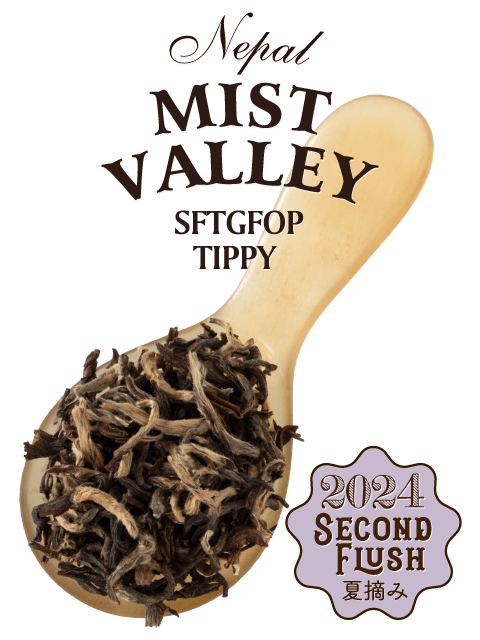 ネパール イラム 2024年 セカンドフラッシュ ミストバレー茶園 EX/O-22