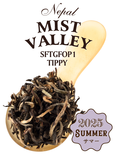 【9月新入荷】❣️美品10包❣️シナクティフ 　クレームn Amazon | [ジブ] オープントートバッグ インナージップ サクラグレース