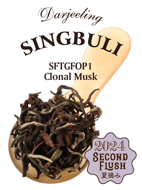 Darjeeling 2024 Second Flush Singbuli Tea Estate EX-41 Clonal Musk Darjeeling 2024 Second Flush Singbuli Tea Estate EX-41 Clonal Musk