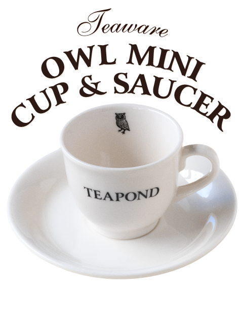 Owl mini cup and saucer